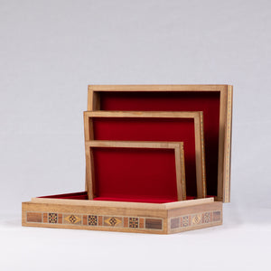 OTT-0039-EIL